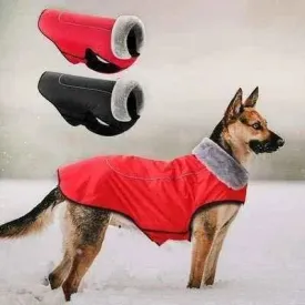 Royal Paws Winter Elegance Waterproof Dog Jacket